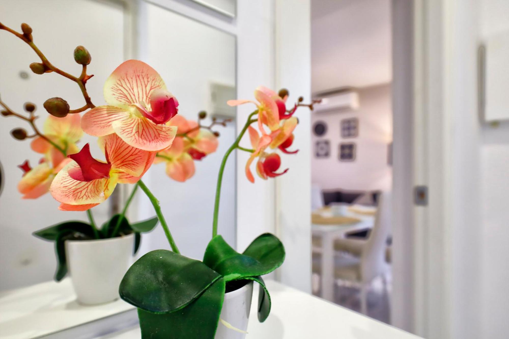 קורדובה Encanto En La Juderia: Apartamento Con Patio מראה חיצוני תמונה